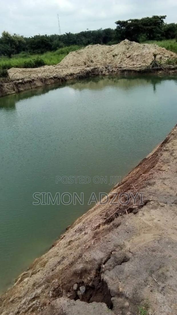 5 Acres of Farm Land for Sale