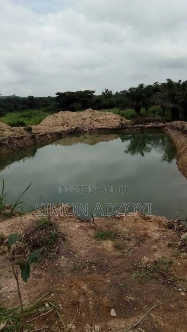 5 Acres of Farm Land for Sale