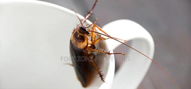 Are You Bothered With Cockroaches,Snakes,Ants Etc · Photo 4