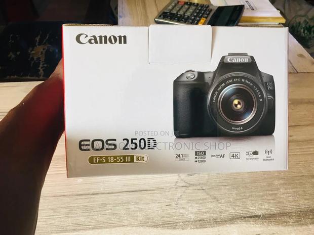 Affordable Quality With the Canon EOS 250D Bluetooth · Photo 2