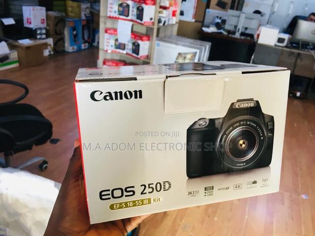 Canon EOS 250D :Capture Life in -the World's Lightest DSLR · Photo 2