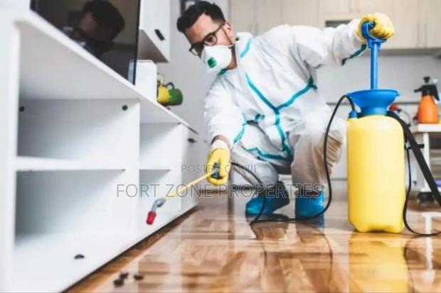 Ants Pest Control · Photo 4
