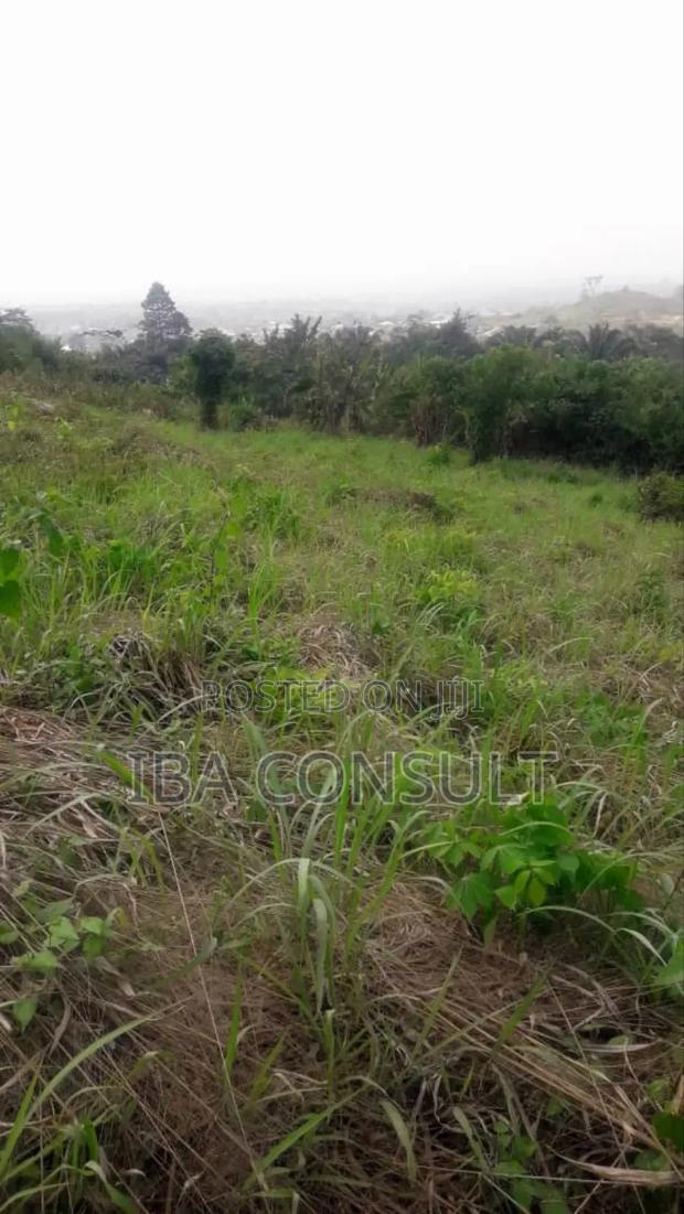 Registered 2 Plots of Residential Land at Nsawam Odeikrom for Sale · Photo 3