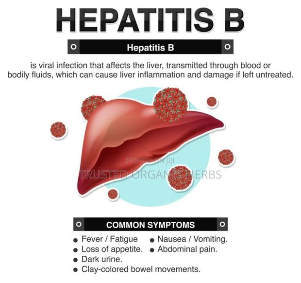 Cure Hepatitis-B in Just 30 Days · Photo 2
