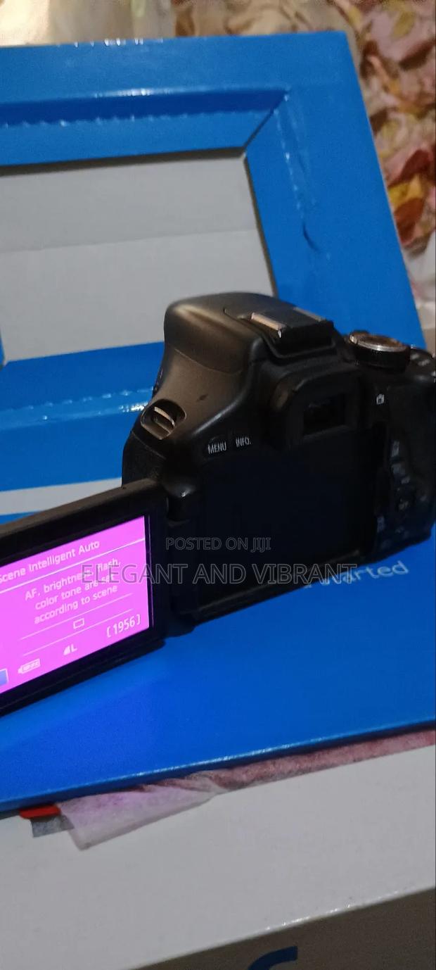 Canon 600d With Screen Color Change,Please Read Description photo 5