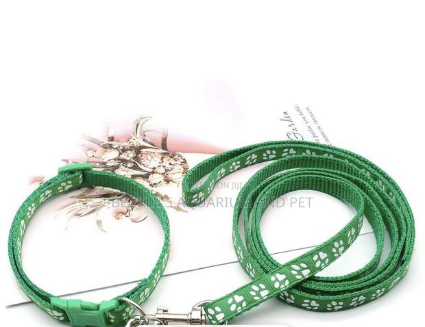 Colorful Dog Leash · Photo 2