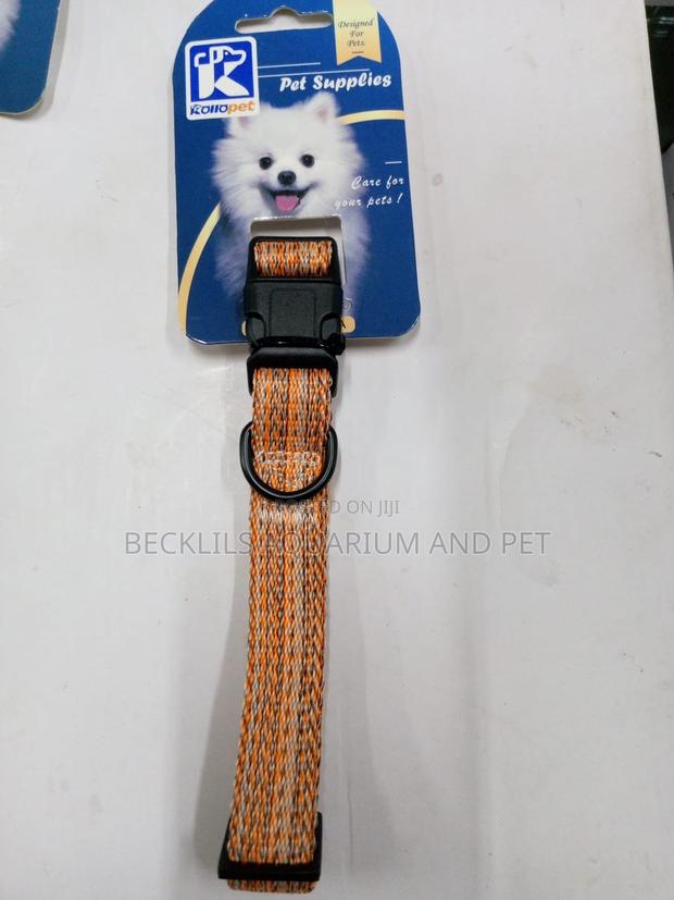 Dog Collars Available For All Types Of Dog · Photo 3