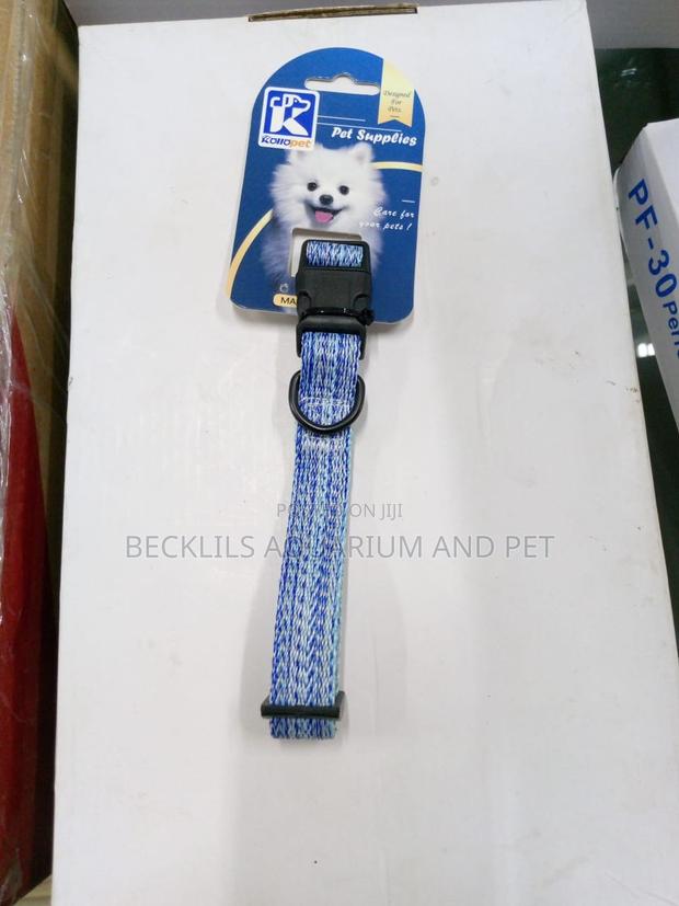 Dog Collars Available For All Types Of Dog · Photo 4