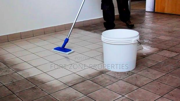 Home Cleaners and Disinfection · Photo 2
