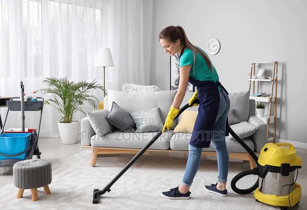 Clean House With Cleantex · Photo 3
