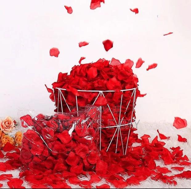 Rose Petals photo 4