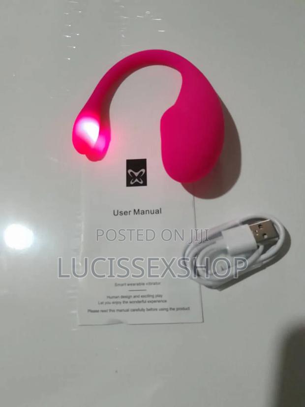 Phone Controlled Vibrator · Photo 2
