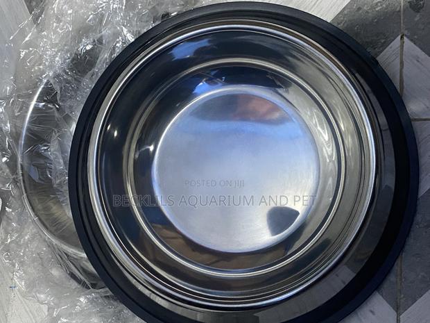 Extra Large Dog Bowls Available · Photo 4