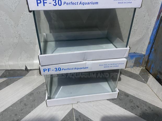 Table Top Aquarium · Photo 4