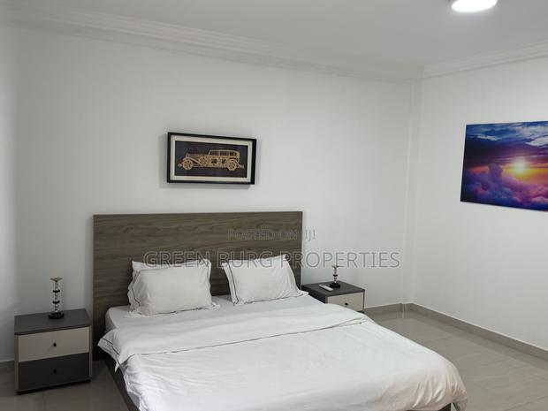Furnished 2bdrm Apartment in East Legon for rent photo 6
