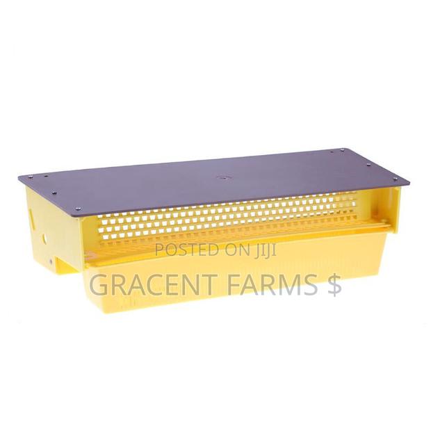Bee Pollen Collector · Photo 4