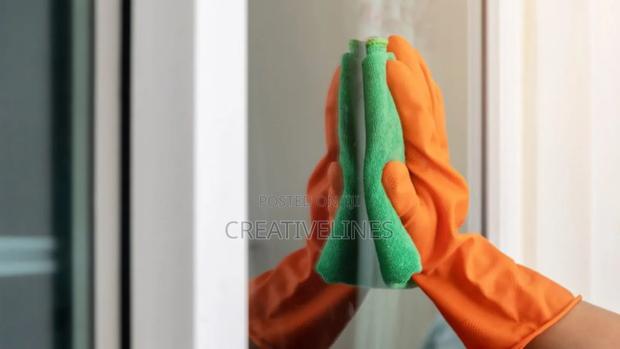 Window Cleaning · Photo 3