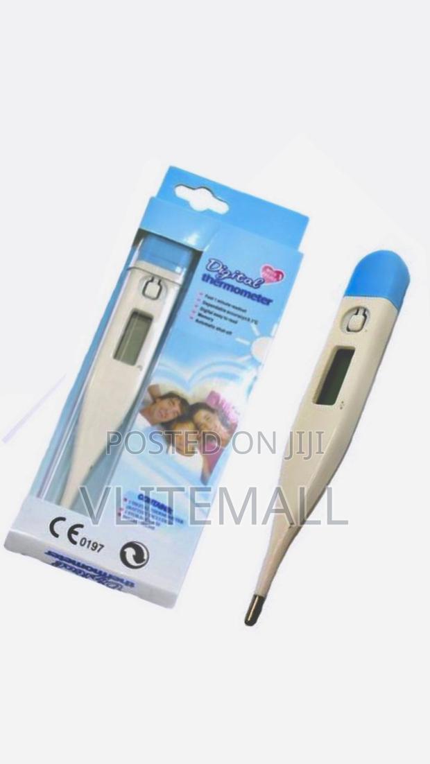 Clinical Thermometer · Photo 2