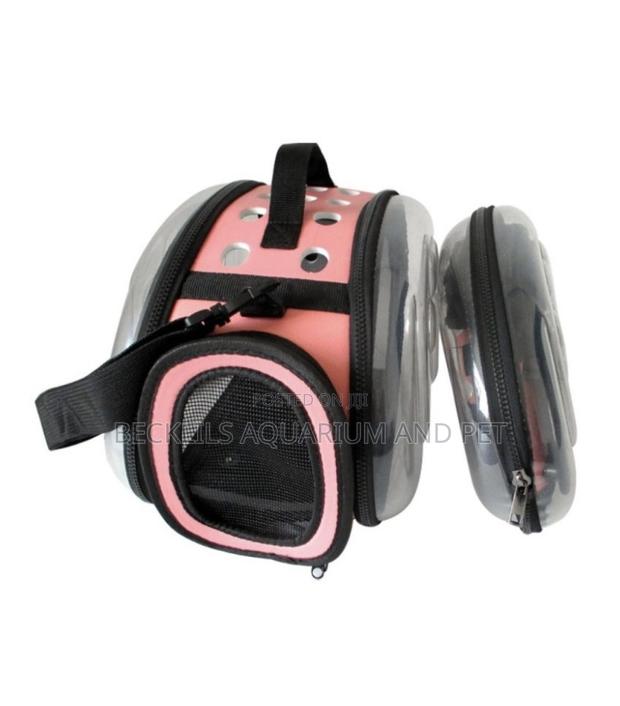 Cat and Dogs Transparent Carrier Cage · Photo 3