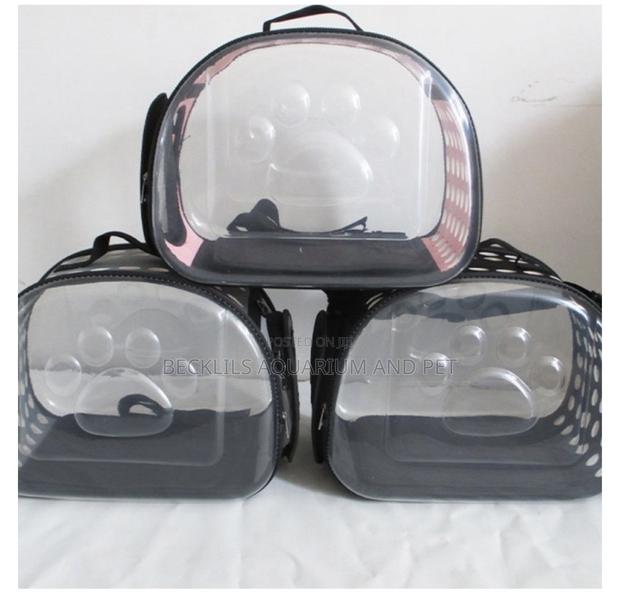 Transparent Dog Carrier · Photo 4