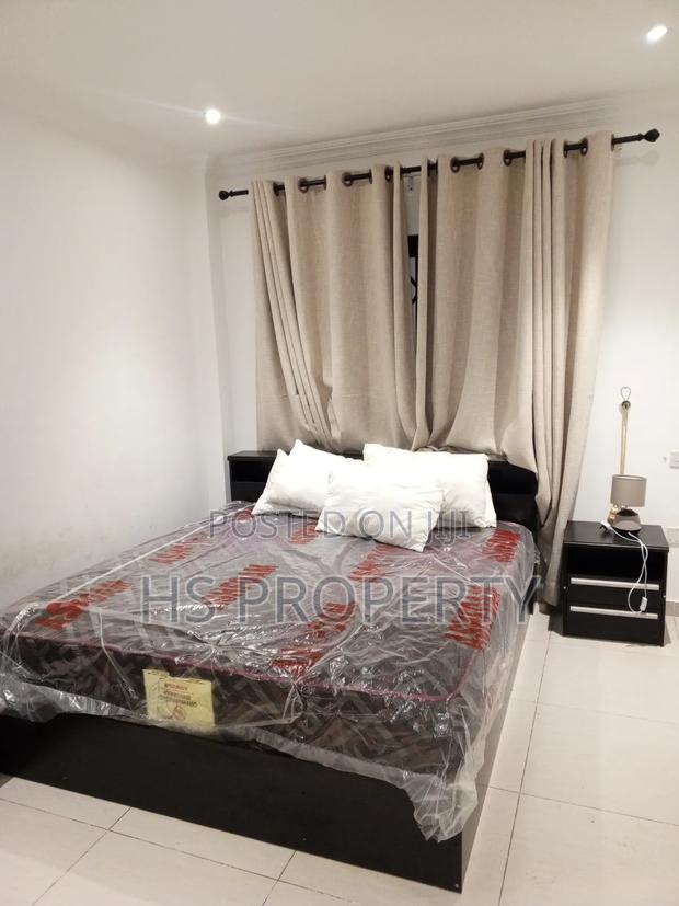 Furnished 2bdrm Apartment in Dzorwulu for rent photo 3