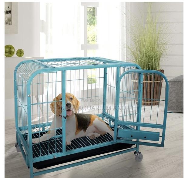 Blue Heavy Duty Metal Dog Cage · Photo 4
