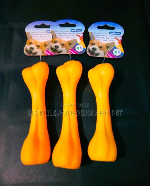 Dog Playing Toy Bone · Photo 3