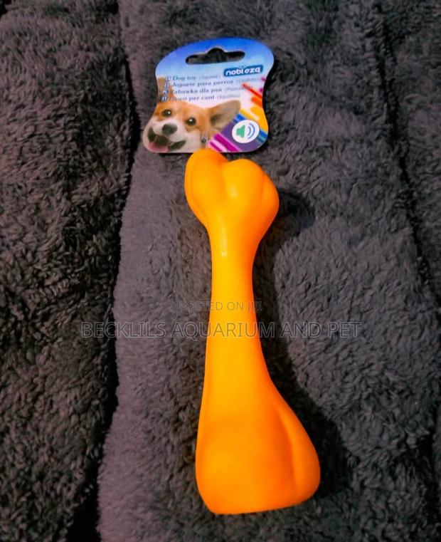 Dog Playing Toy Bone · Photo 4