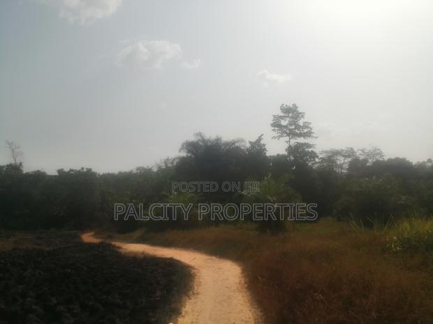 200 Acres of Farm Lands for Sale in Effiduase Areas · Photo 3