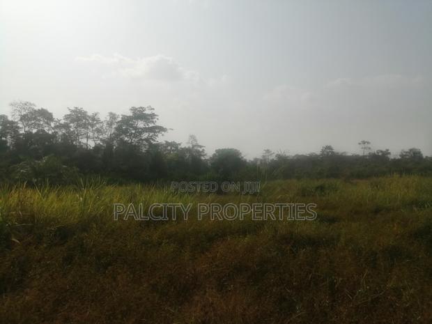 200 Acres of Farm Lands for Sale in Effiduase Areas · Photo 4