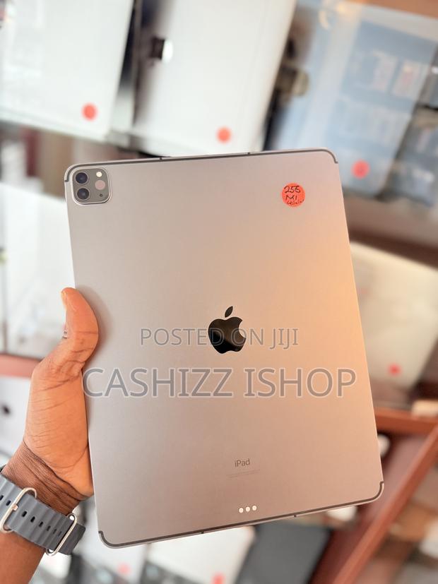 Apple iPad Pro 12.9 (2021) 256 GB Gray