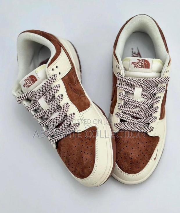 Nike Sb Dunk Low X North Face · Photo 4