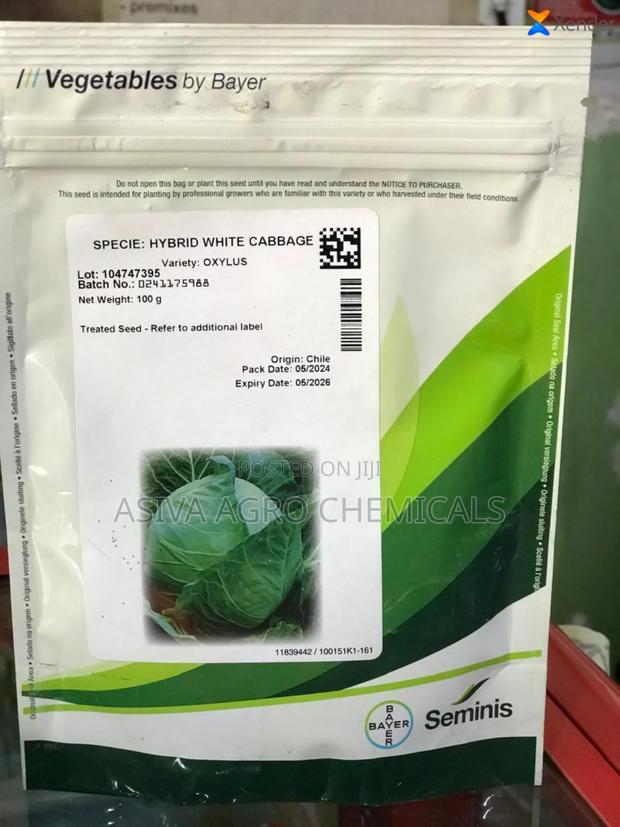 Cabbage Oxylus Seeds