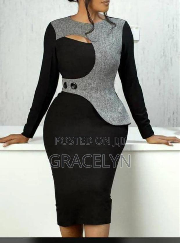 Ladies Straight Dress photo 2