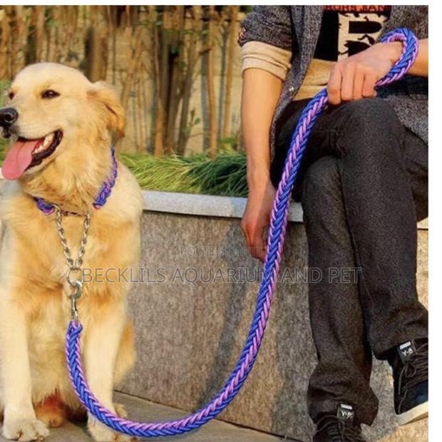 Collars With Leash for Bigger Dogs · Photo 3