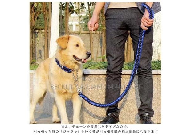 Collars With Leash for Bigger Dogs · Photo 4
