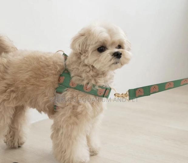 Harness With Leash For Small Dogs · Photo 4