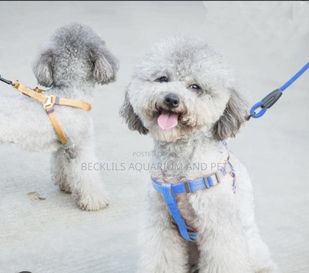 Harness With Leash For Small Dogs · Photo 3