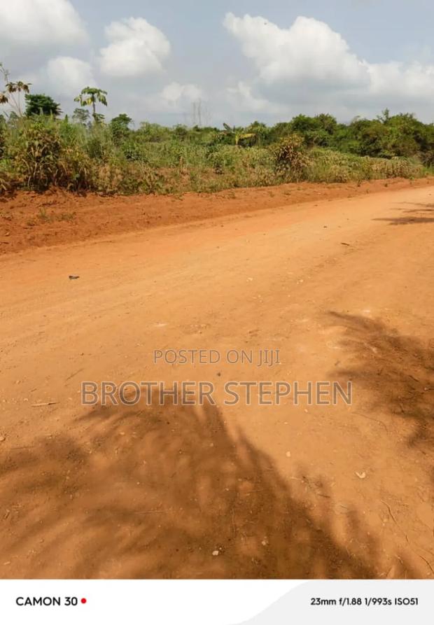 Documented Farmland for Sale at Asamankese. · Photo 2