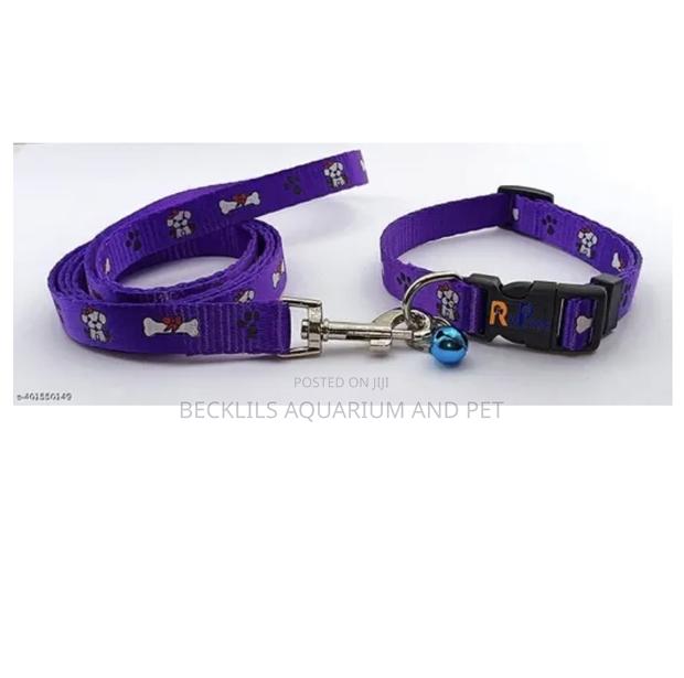 Adjustable Collar With Leash Set · Photo 3