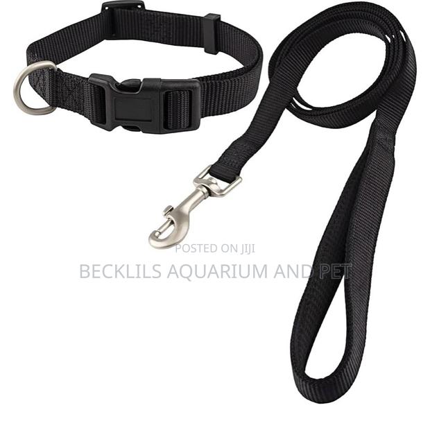 Adjustable Collar With Leash Set · Photo 4