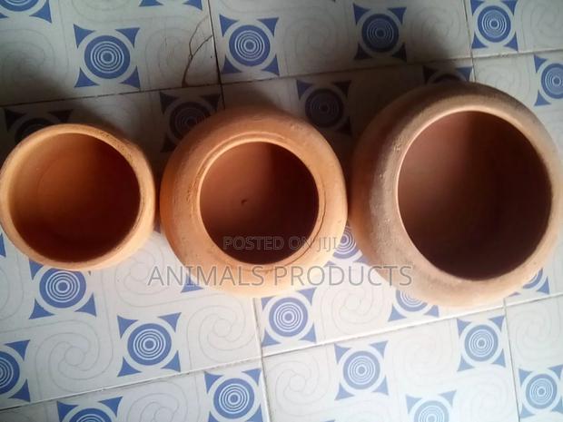 Drinkers And Feeders For Rabbits And Grasscutters · Photo 4
