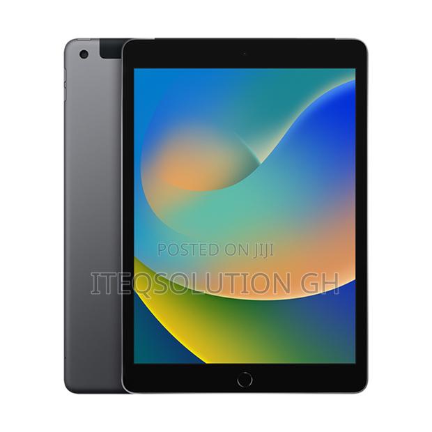 New Apple iPad 10.2 (2021) 256 GB Gray photo 2