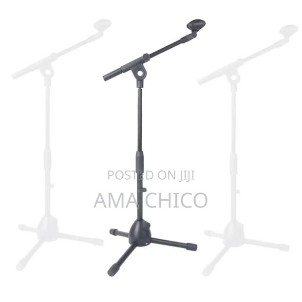 Professional Microphone Stand