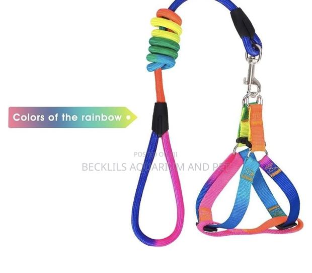 Rainbow Dog Leash With Harness