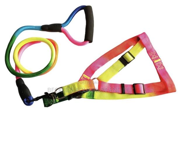 Rainbow Dog Leash With Harness