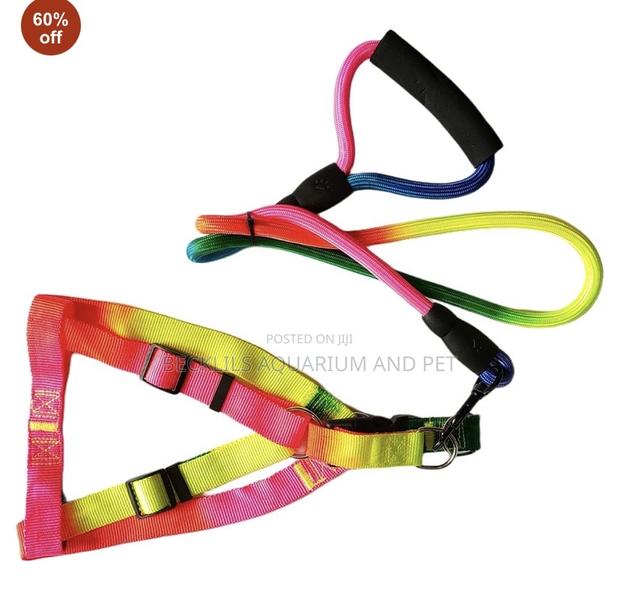 Rainbow Dog Leash With Harness