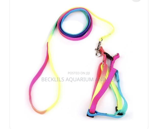 Rainbow Dog Harness With Leash for S/ M Dogs · Photo 3