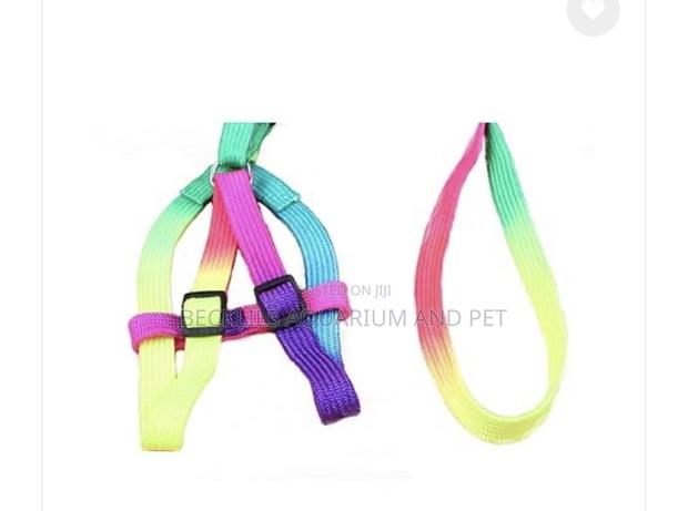 Rainbow Dog Harness With Leash for S/ M Dogs · Photo 4