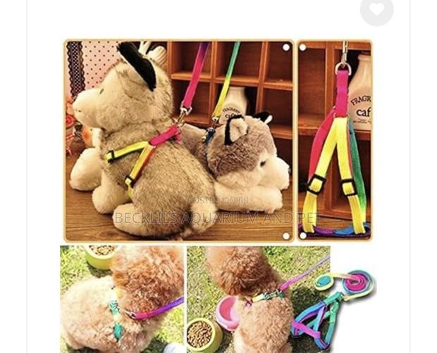 Rainbow Leash With Harness Available for Small Dogs · Photo 4
